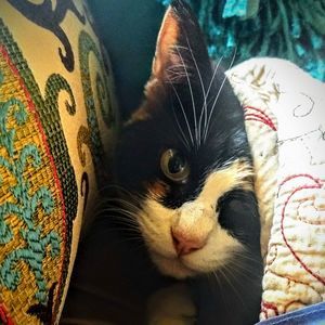 Meet your Posher, Chelle